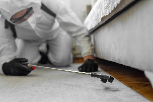 Professional Pest Control technician working in Thonotosassa, FL