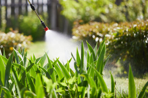 24/7 Emergency Fumigation Services experts in Thonotosassa, FL