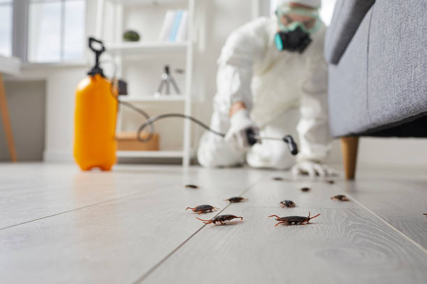 Trusted Fumigation Services service in Thonotosassa, FL - Nex Pest Control