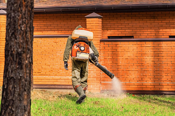 Trusted Emergency Pest Control service in Thonotosassa, FL - Nex Pest Control